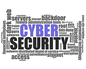 Cybersecurity consultancy services